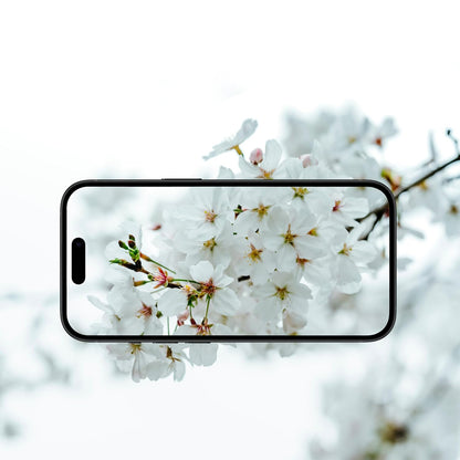 Защитно фолио за задна камера Anank AR за Apple iPhone 17 Air, закалено стъкло, многоцветно