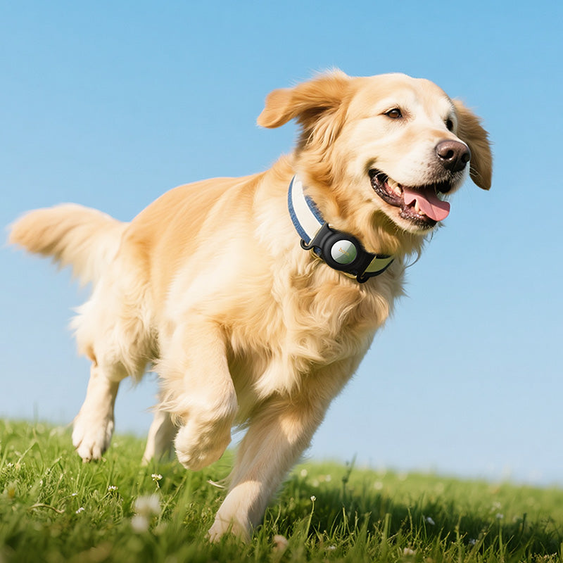 HOCO SmartTag E91C за iOS серии, Бял