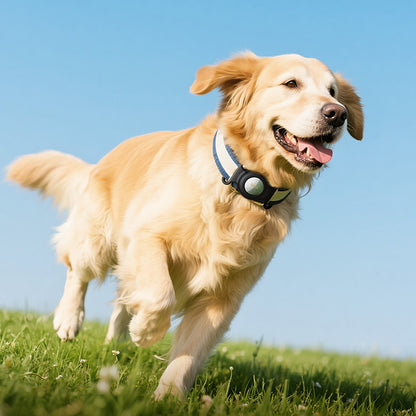 HOCO SmartTag E91C за iOS серии, Бял