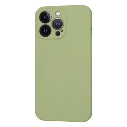 Калъф MagSafe за Apple iPhone 13 Pro, Techsuit, SoftFlex, Matcha