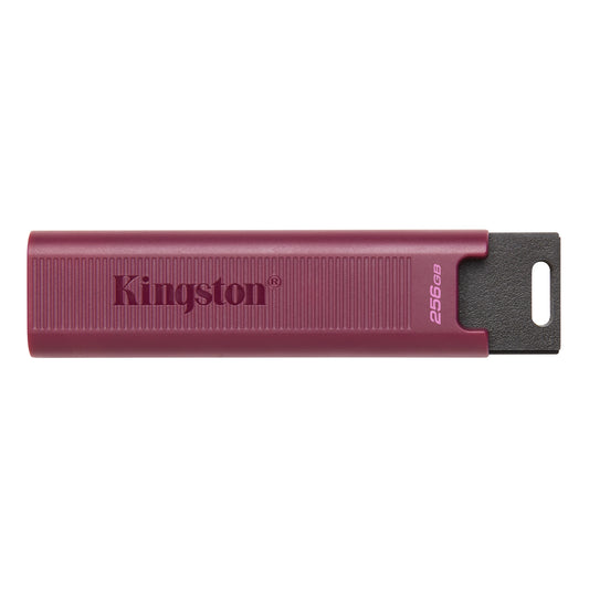 Външна памет USB-A 3.2 Kingston DT Max, 256Gb DTMAXA/256GB