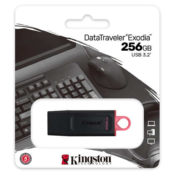 Външна памет USB-A 3.2 Kingston DT Exodia, 256Gb DTX/256GB