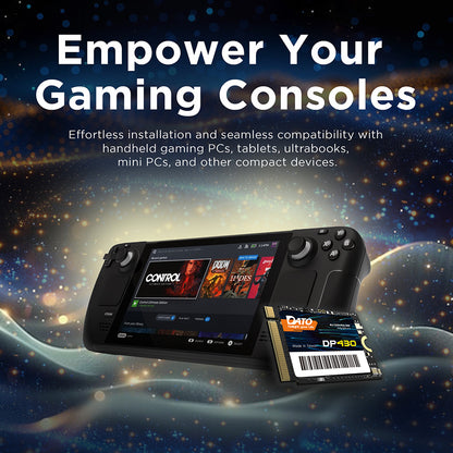 Solid State Drive (SSD) Dato DP430, NVME M.2 2230, PCIE Gen4x4, 1TB, Черен DP430SSD-1TB